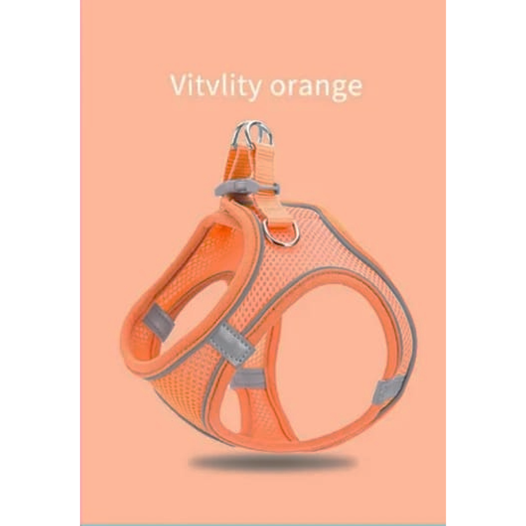 Vitvlity Oange Cat & Dog Harness