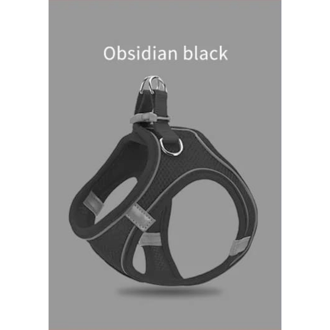 Obsidian Black Cat & Dog Harness