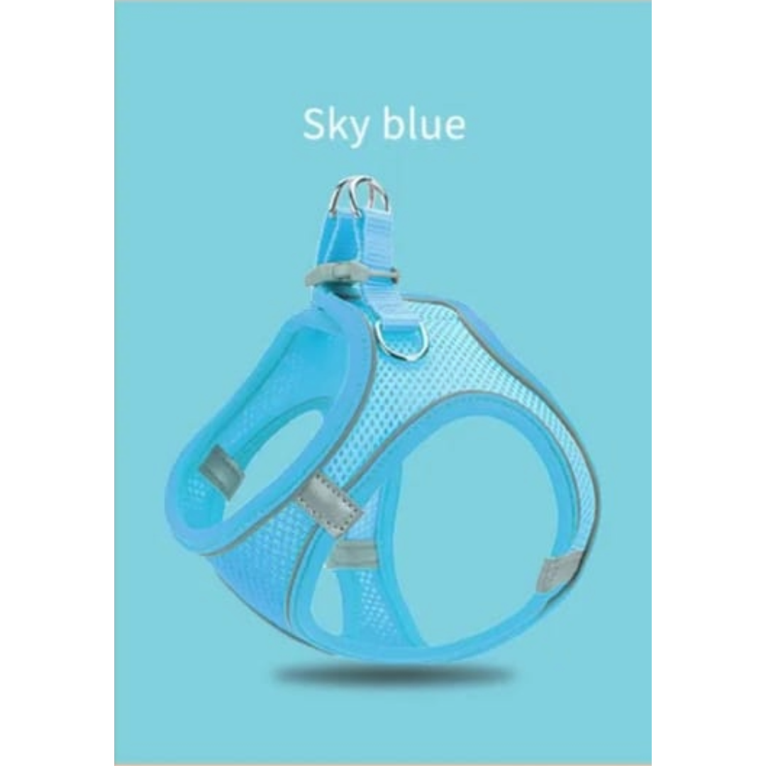 Sky Blue Cat & Dog Harness