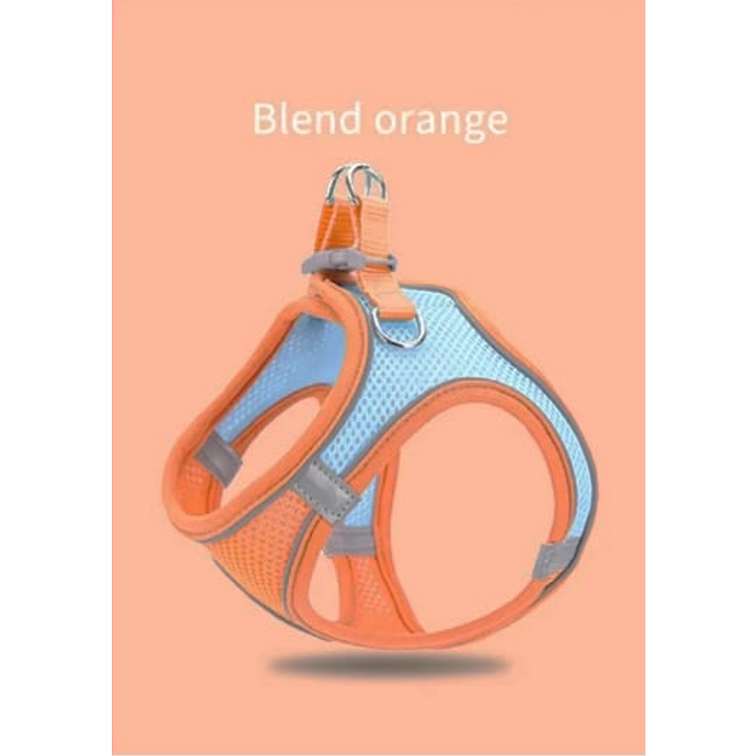 Blend Orange Cat & Dog Harness