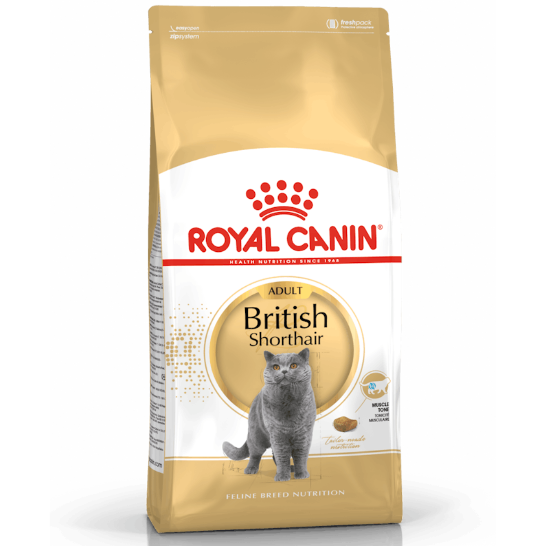 Royal Canin British Shorthair Adult
