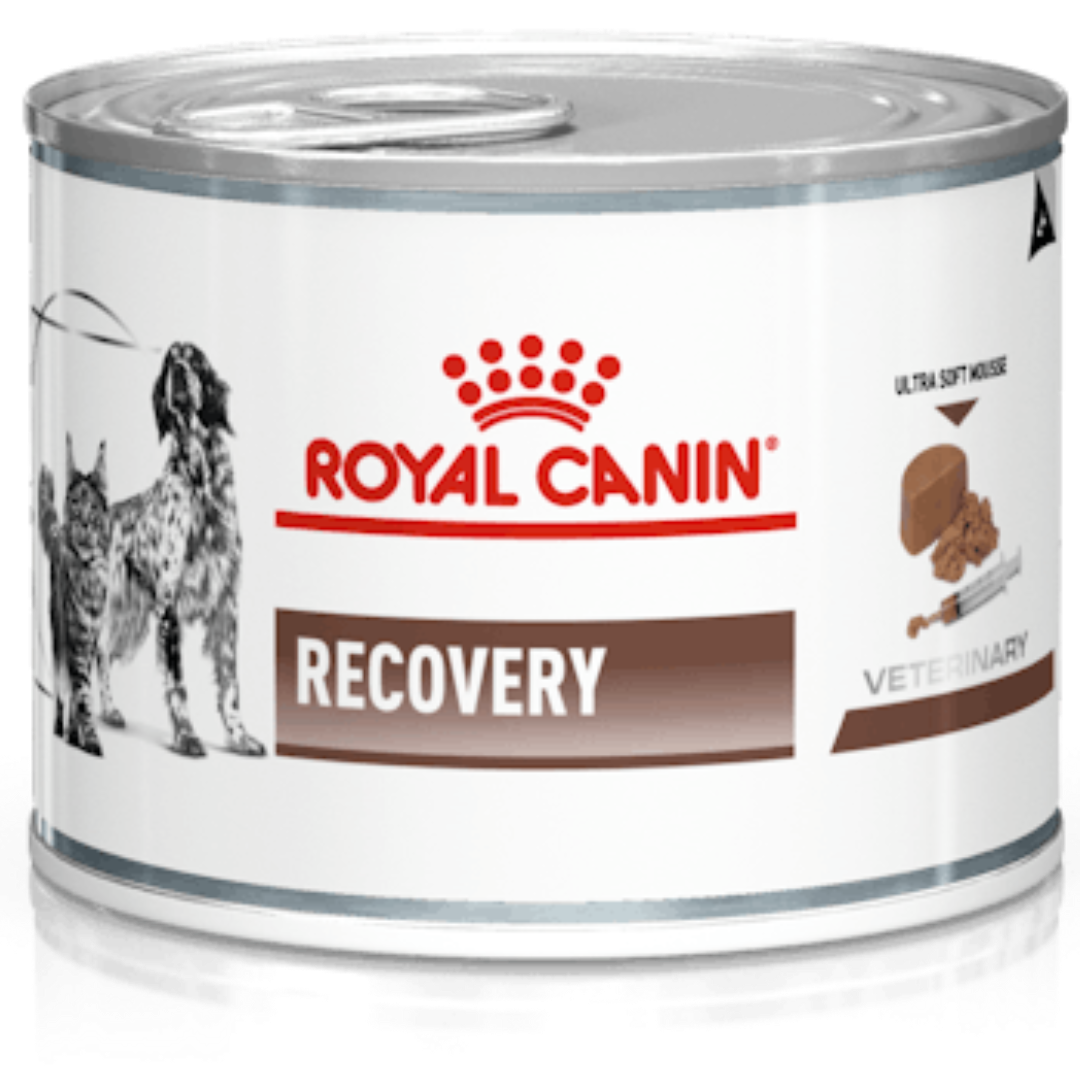 Royal Canin Recovery