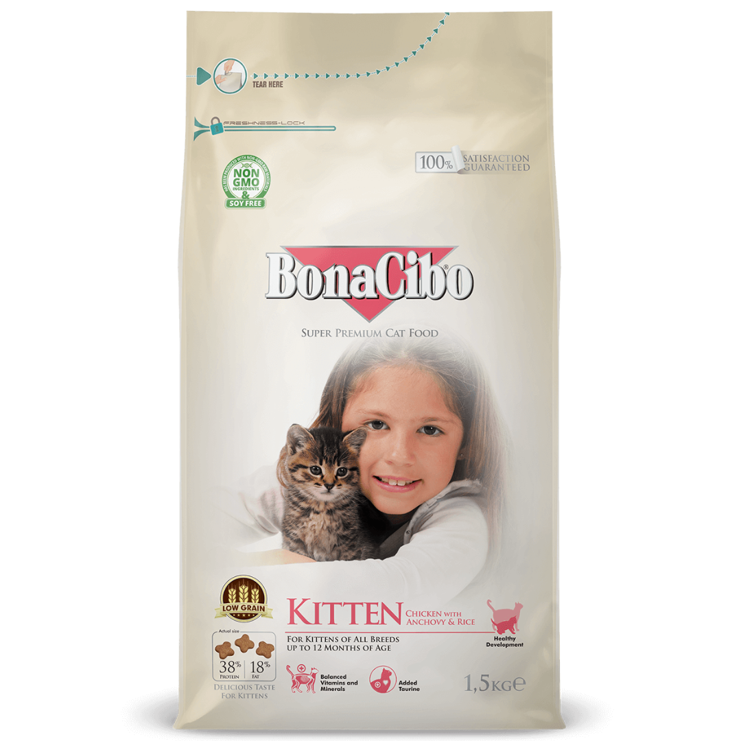 Bonacibo Chicken Kitten