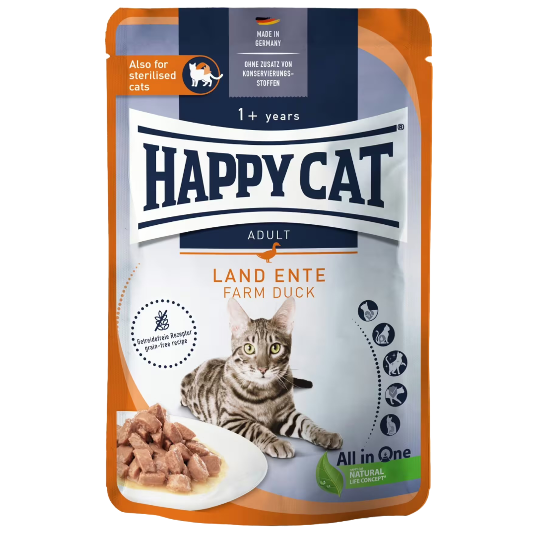 Happy Cat Duck