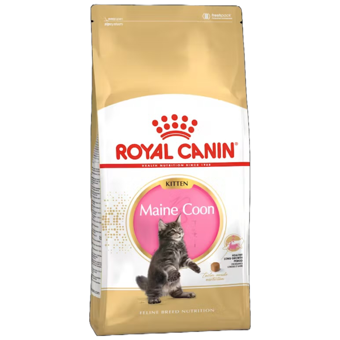 Royal Canin Maine Coon Kiten