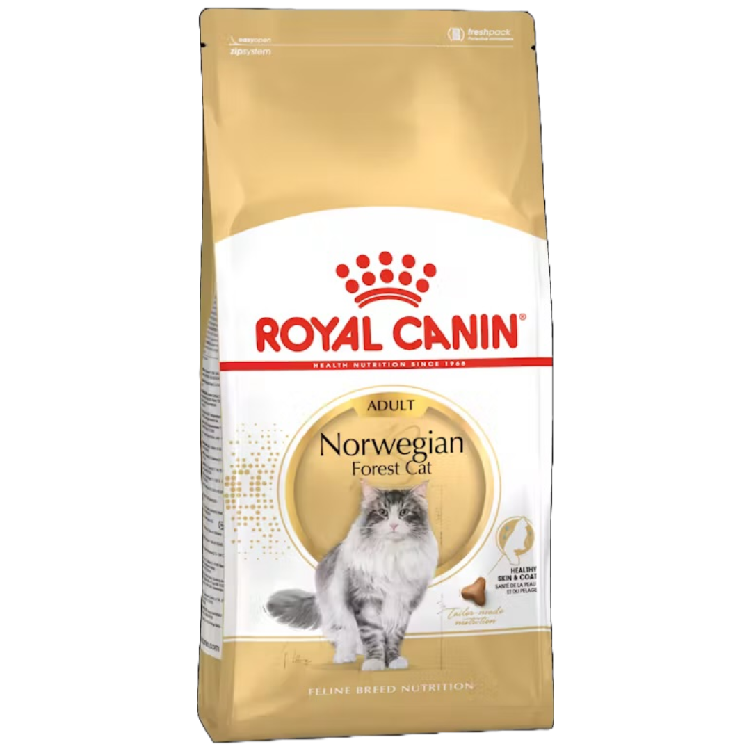 Royal Canin Norwegian Forest Cat Adult
