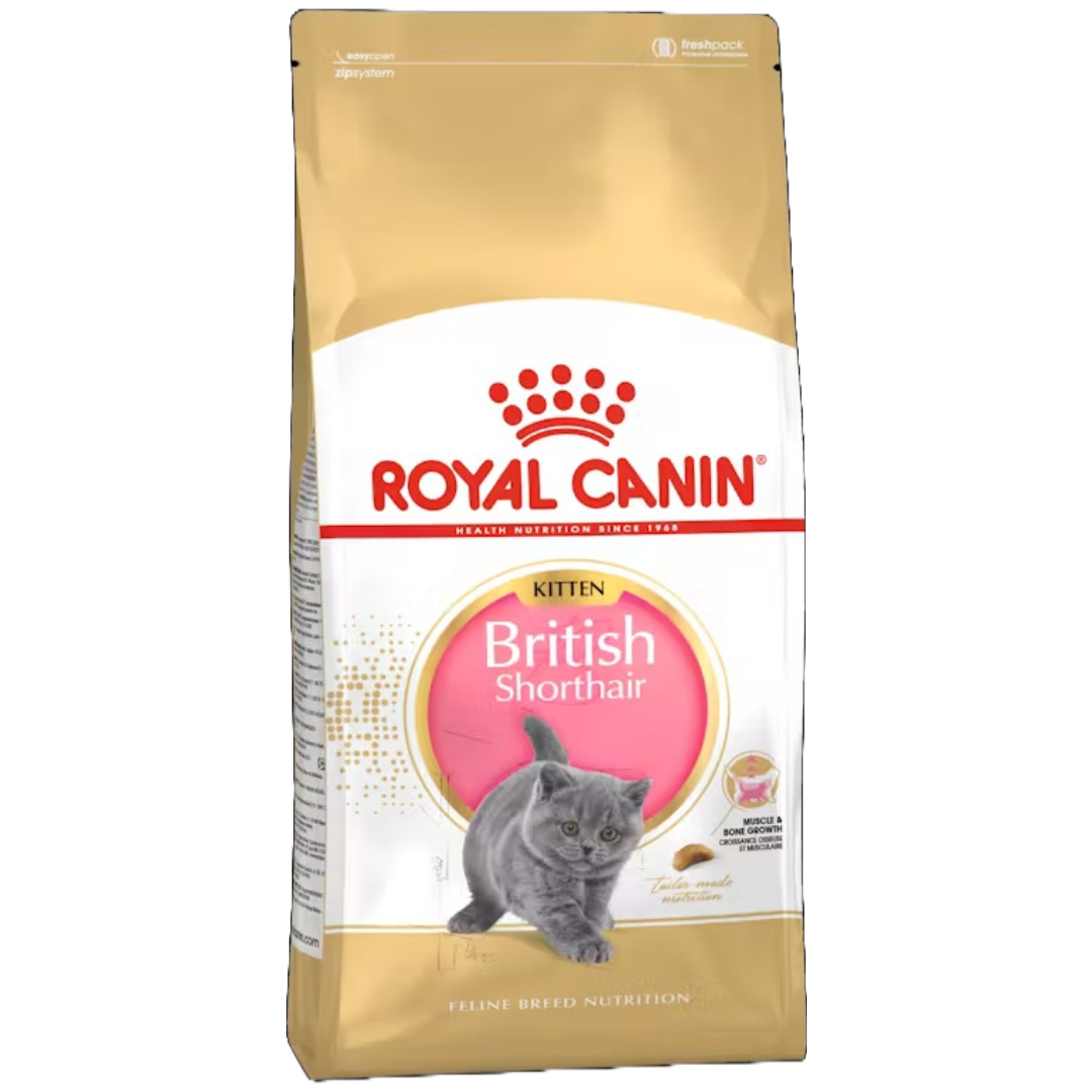 Royal Canin British Shorthair Kitten