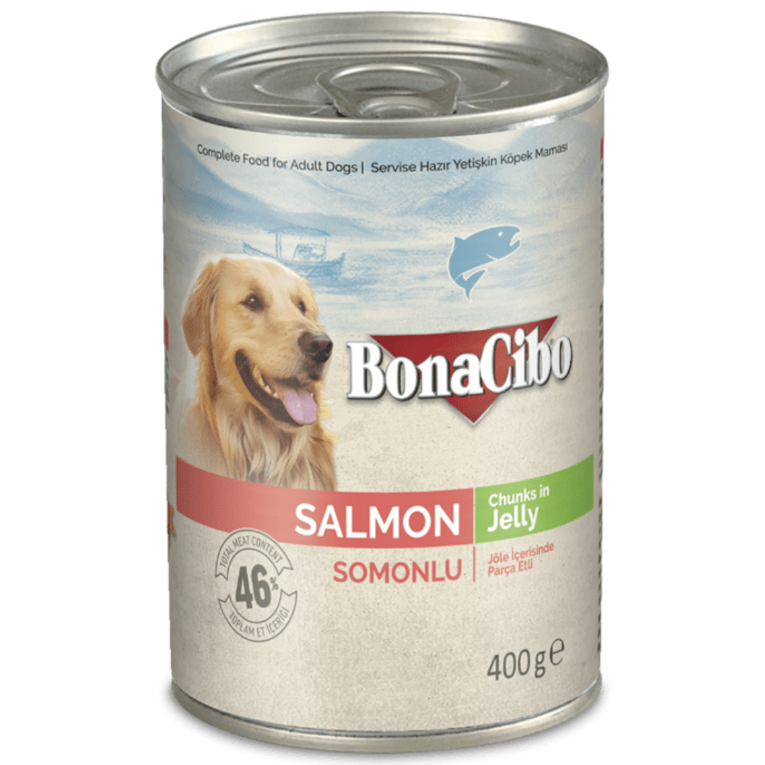 Bonacibo Salmon Chunks In Jelly