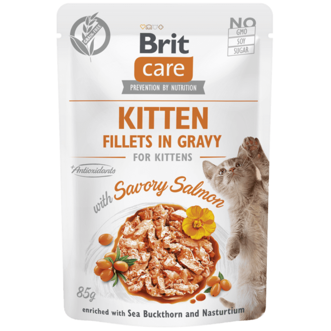 Brit Care Kitten Fillets in Gravy with Savory Salmon